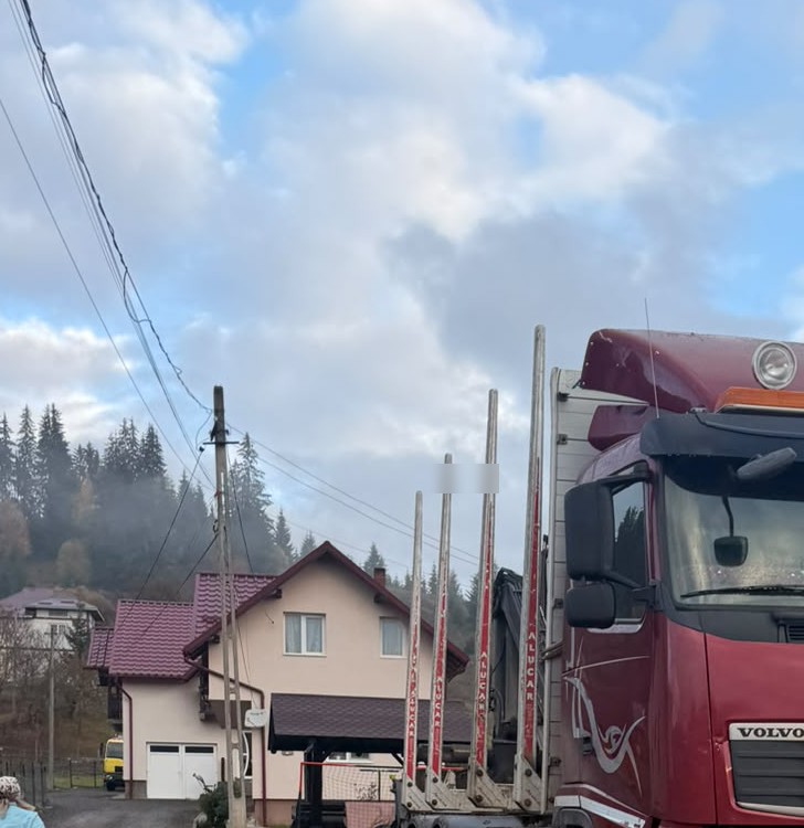 Camionul Volvo indisponibilizat la Poiana Negrii