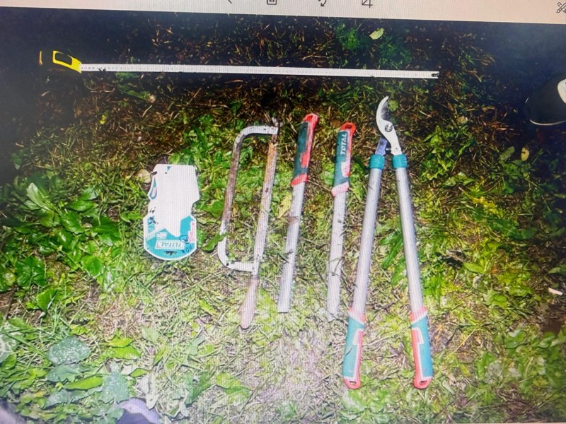 Foto de la hoții prinși în flagrant