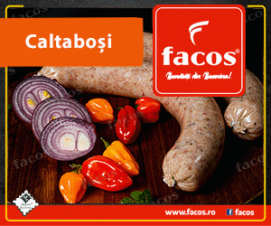 Facos Suceava