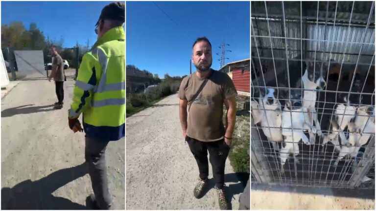 Consilierul local Mihai Crăciun, sechestrat în Adăpostul Public de Câini Suceava, după ce a prins în fapt mizeria și ilegalitățile patronate de DSVSA
